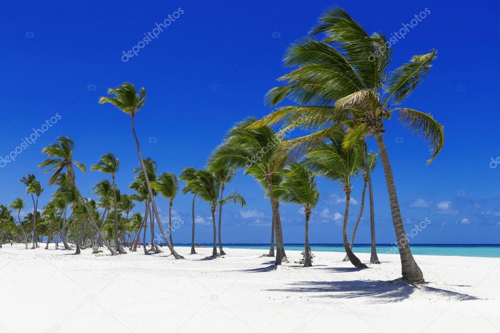 Beach on tropical island