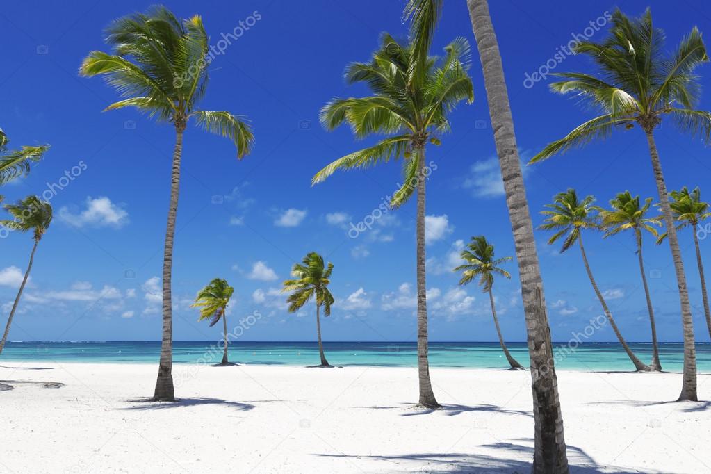 Beach on tropical island