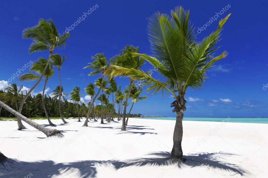 Beach on tropical island