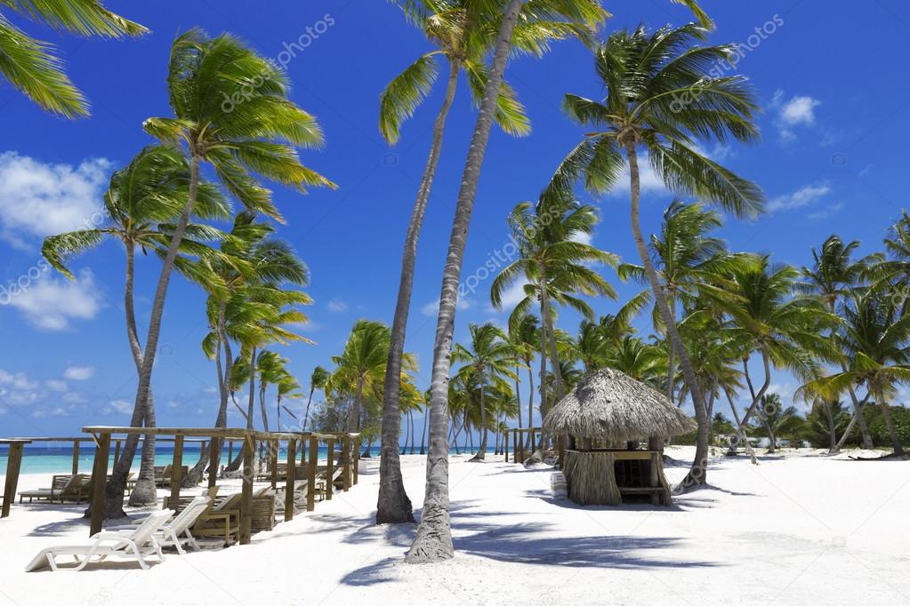 Beach on tropical island