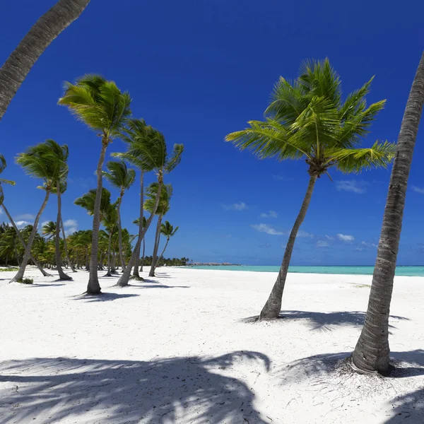 Praia na ilha tropical — Fotografia de Stock
