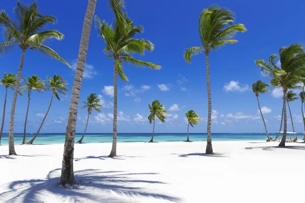 Beach on tropical island — Stock Photo, Image