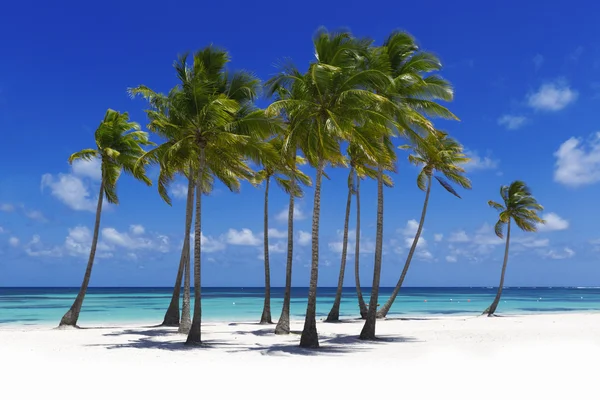 Playa en isla tropical — Foto de Stock