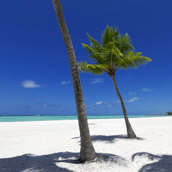 Spiaggia sull'isola tropicale — Foto Stock