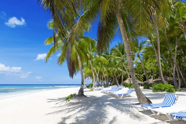 Stranden på tropisk ö — Stockfoto