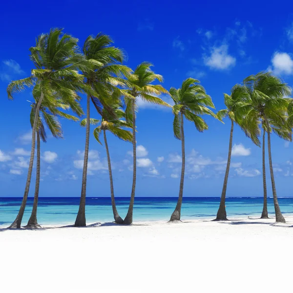 Beach on tropical island — Stock Photo, Image