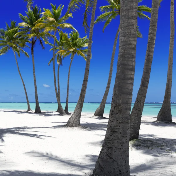 Пляж на тропическом острове — стоковое фото