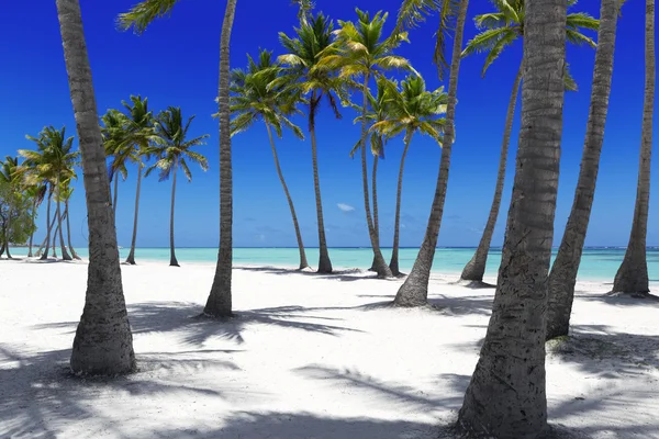 Playa en isla tropical — Foto de Stock