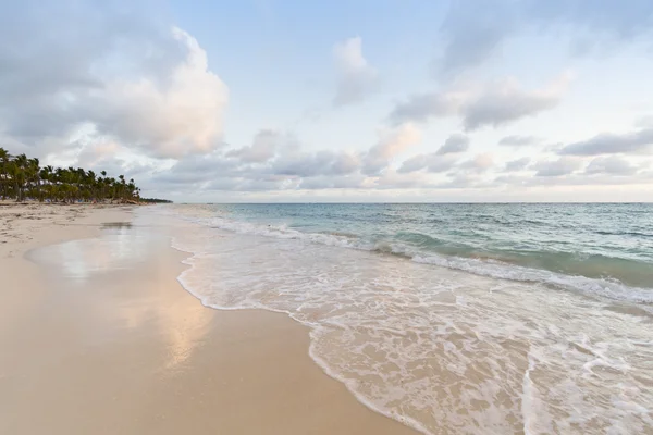 熱帯の島のビーチ — ストック写真