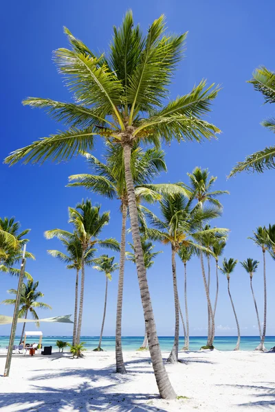 Beach on tropical island — Stock Photo, Image