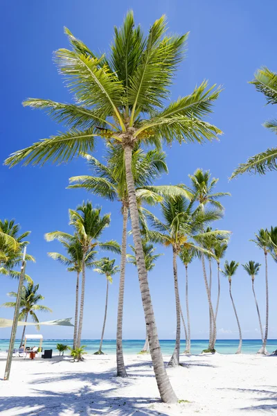 Strand auf tropischer Insel — Stockfoto