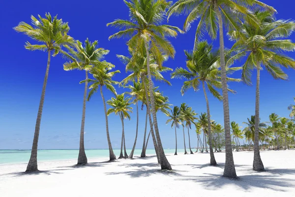 Beach on tropical island — Stock Photo, Image