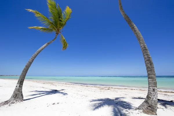 Spiaggia sull'isola tropicale — Foto Stock