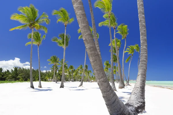 Beach on tropical island — Stock Photo, Image