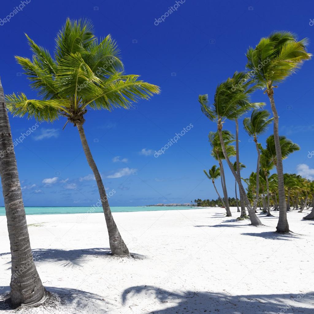Beach on tropical island