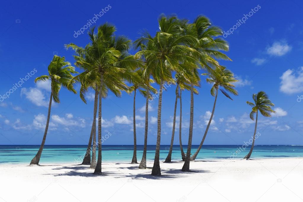 Beach on tropical island