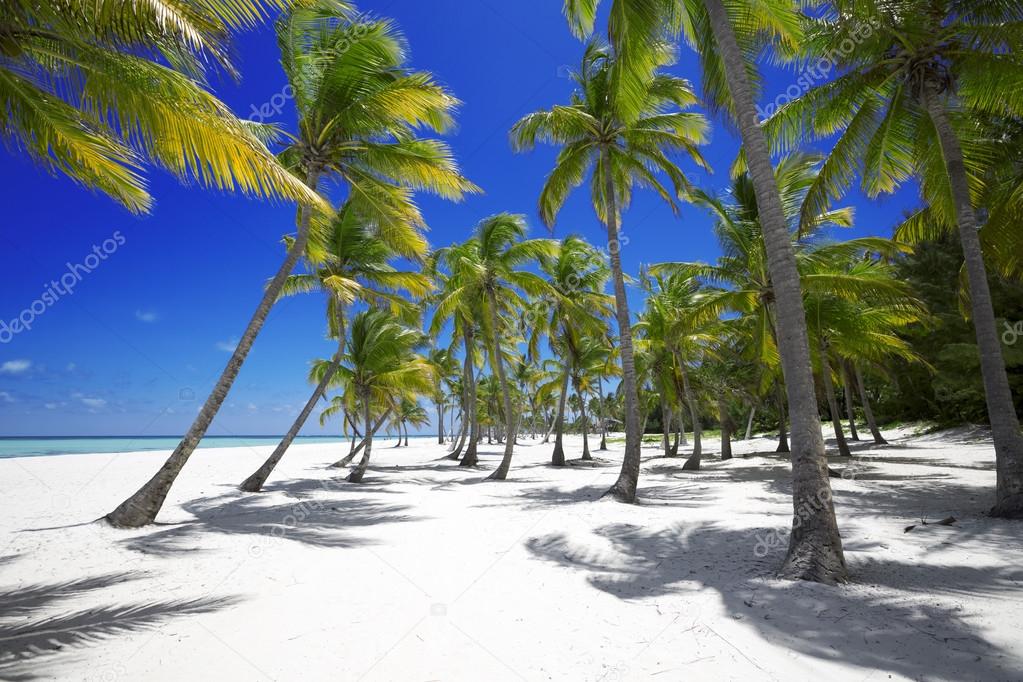 Beach on tropical island