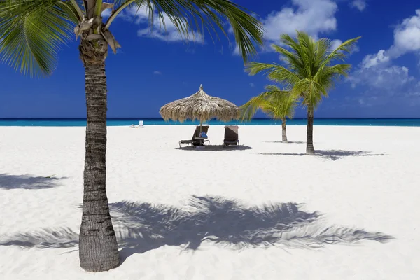 beach umbrella with loungers on the tropical island