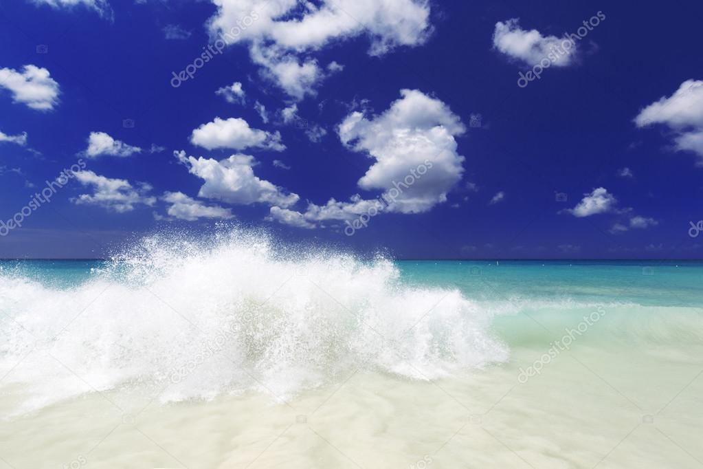 Beach on the tropical island