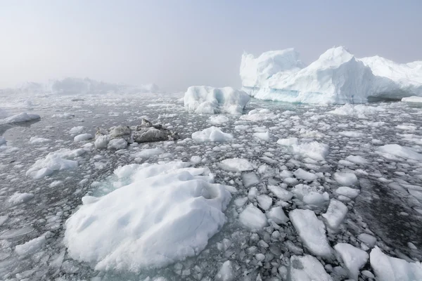 Natura e paesaggio della Groenlandia — Foto Stock