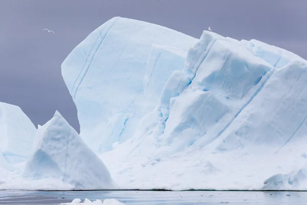 Przyrody i krajobrazu z Grenlandii — Zdjęcie stockowe