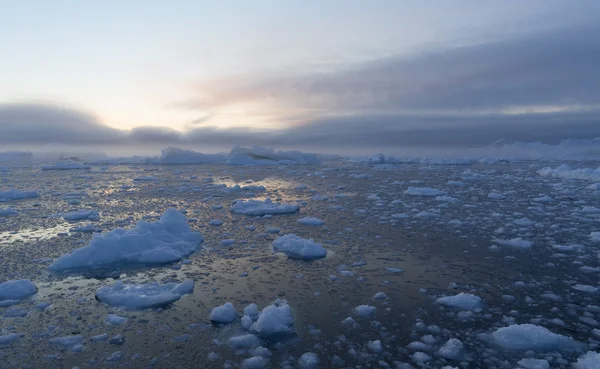 Natur und Landschaften Grönlands. Reisen auf dem wissenschaftlichen Schiff zwischen den Eisen. Untersuchung eines Phänomens der globalen Erwärmung. Eis und Eisberge in ungewöhnlichen Formen und Farben. — Stockfoto