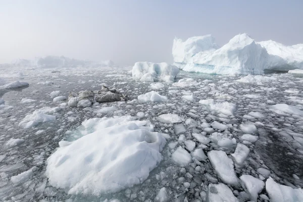 Nature and landscapes of Greenland. Travel on the scientific vessel among ices. Studying of a phenomenon of global warming. Ices and icebergs of unusual forms and colors. — Stock Photo, Image