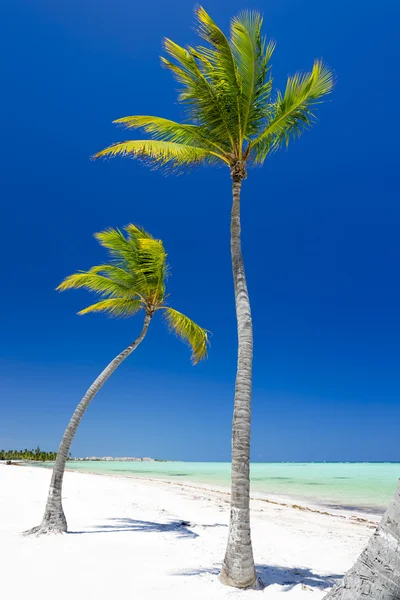 Strand auf der tropischen Insel — Stockfoto