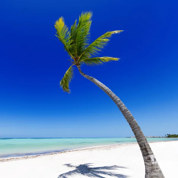 Beach on the tropical island — Stock Photo, Image