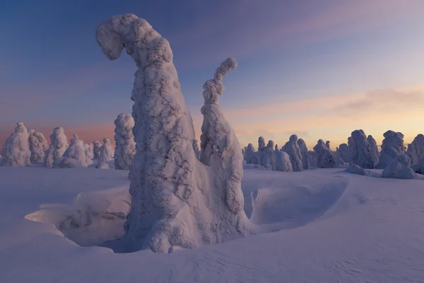 Grandes nevadas y árboles — Foto de Stock
