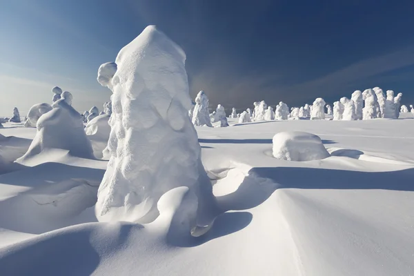 Grandes nevadas y árboles — Foto de Stock