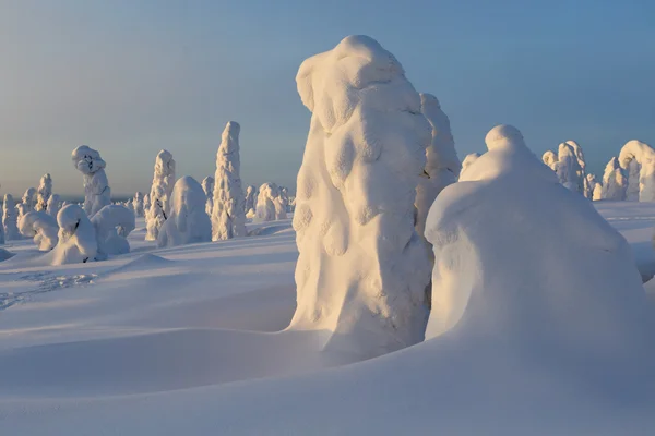 Neve pesada e árvores — Fotografia de Stock