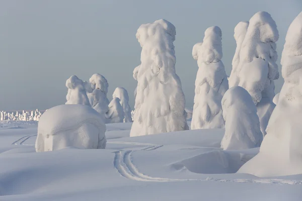 Grandes nevadas y árboles —  Fotos de Stock