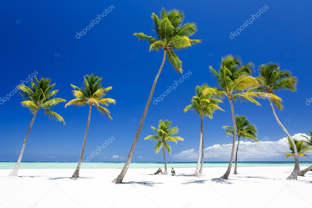 Beach on the tropical island