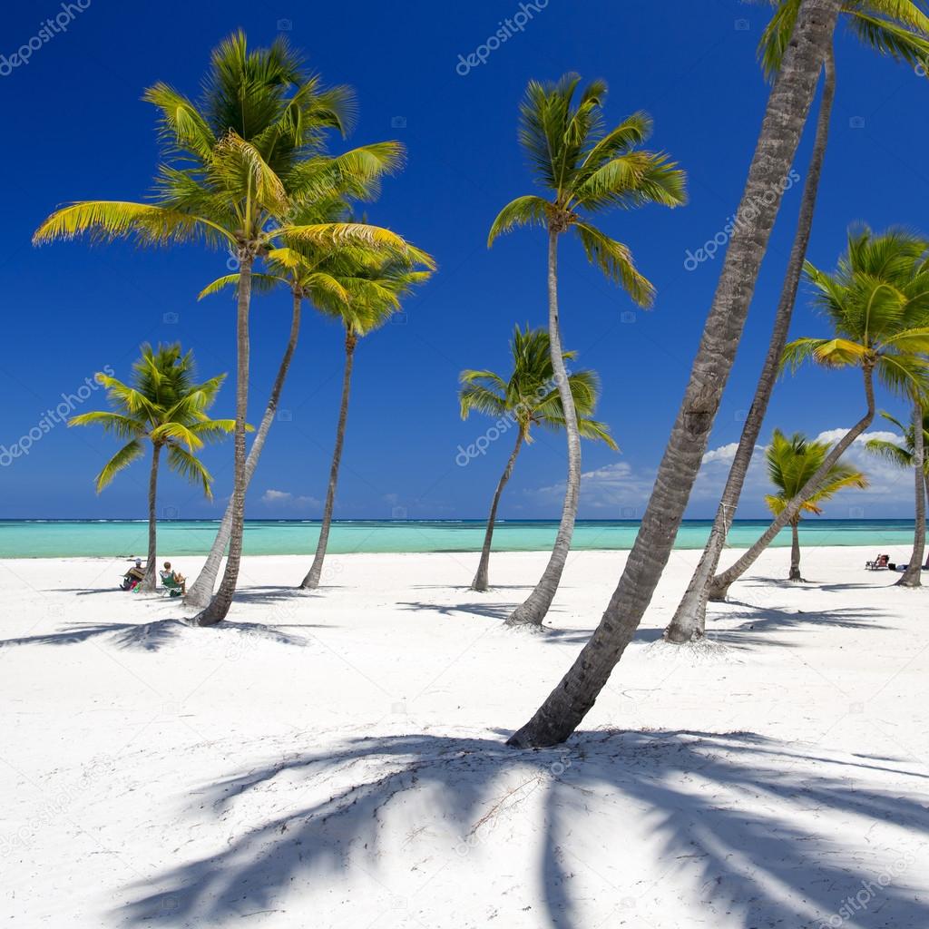 Beach on the tropical island