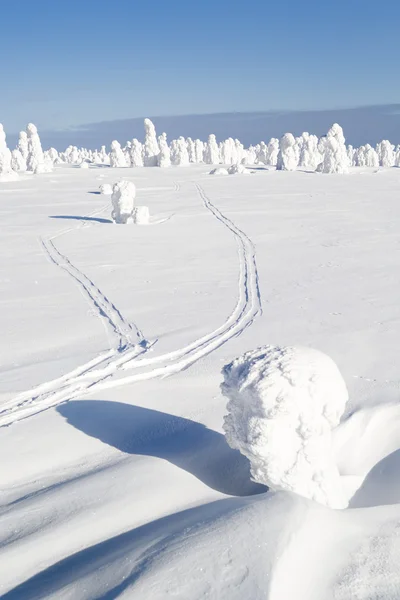 Starke Schneefälle und Bäume — Stockfoto