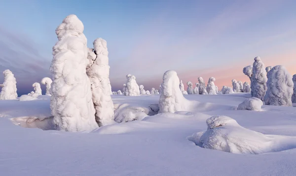 Grandes nevadas y árboles — Foto de Stock