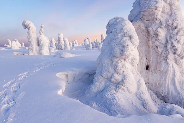 Zware sneeuwval en bomen — Stockfoto