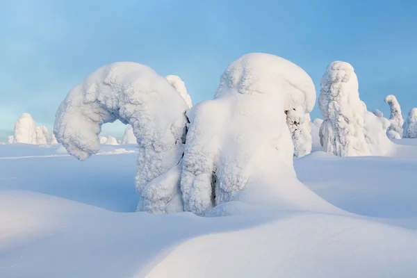 Kraftigt snöfall och träd — Stockfoto