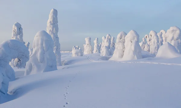 Zware sneeuwval en bomen — Stockfoto