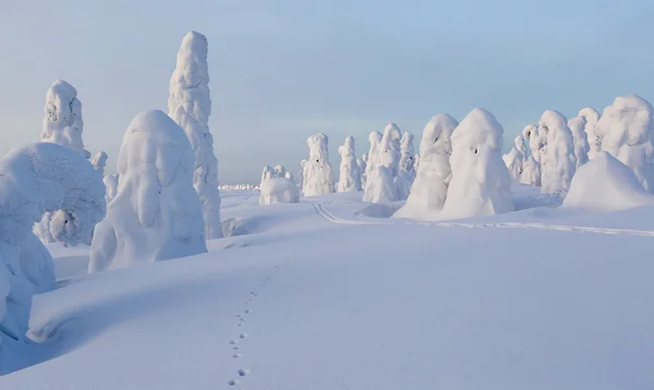 Grandes nevadas y árboles — Foto de Stock