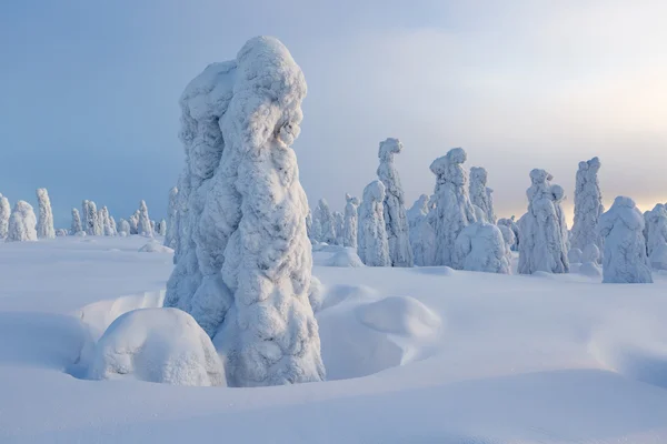 Сильные снегопады и деревья — стоковое фото