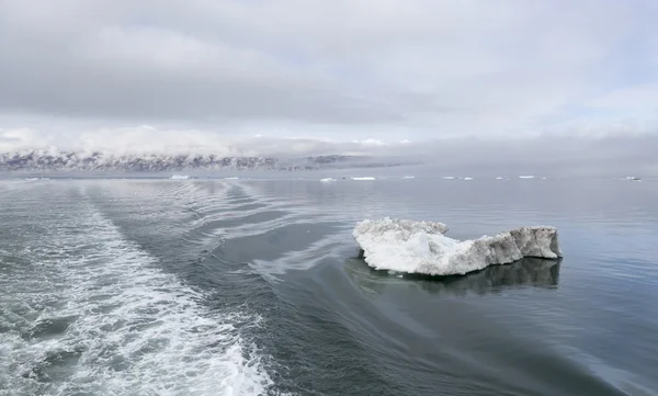 Nature et paysages de l'Antarctique . — Photo