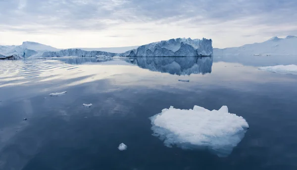 Glaciares y icebergs de la Antártida —  Fotos de Stock