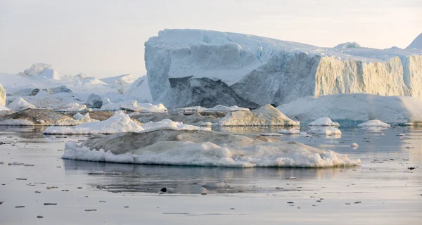 D'énormes icebergs de différentes formes — Photo
