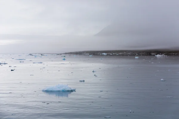 自然と氷の間で科学的な容器に Antarctic Travel の風景 地球温暖化の現象を勉強します 氷と氷山の珍しい形態および色 — ストック写真