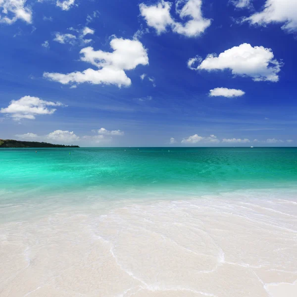 Strand op het tropische eiland. — Stockfoto