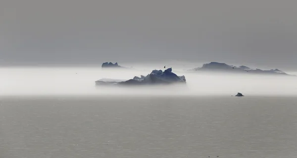 ธรรมชาติและภูมิทัศน์ของกรีนแลนด์ . — ภาพถ่ายสต็อก