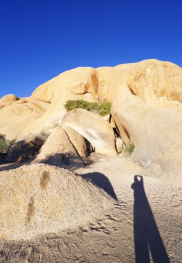 Nature and landscapes of Namibia