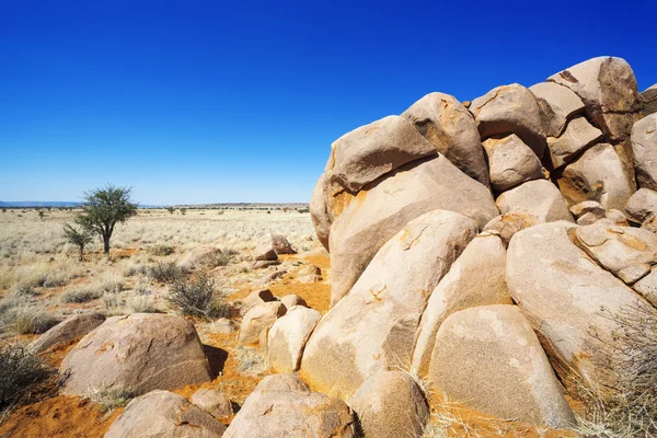 Nature and landscapes of Namibia — Stockfoto